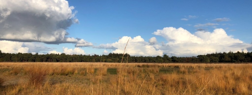 Gerwen hei wolken